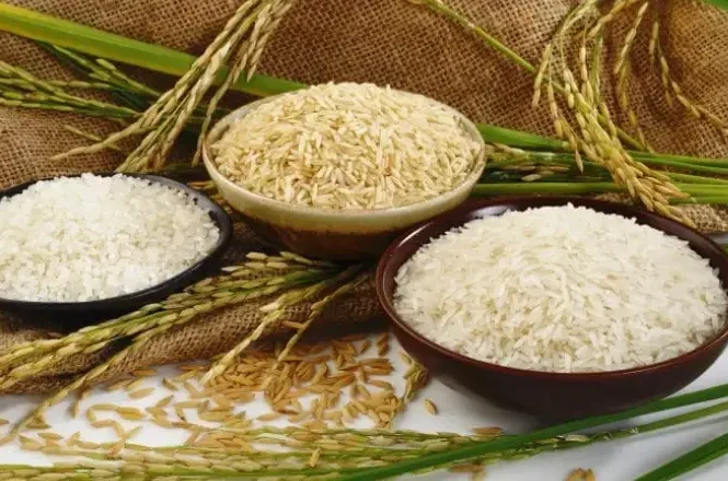 raya5 basmati rice