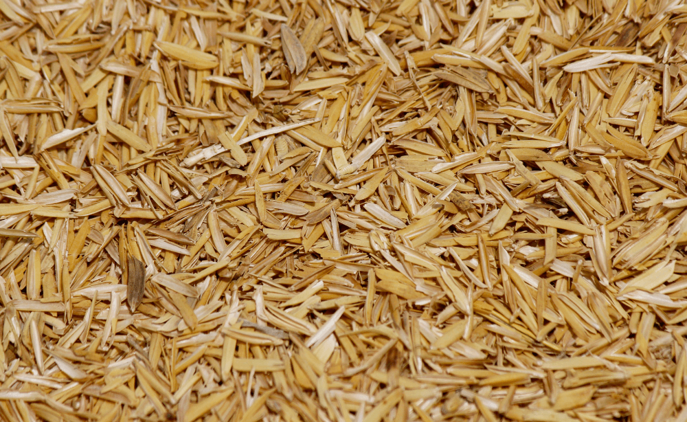 raya5 rice husk 1k1