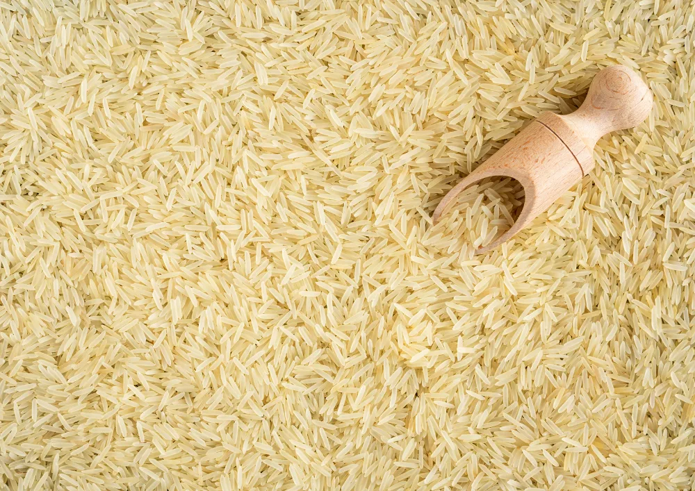 raya5 rice