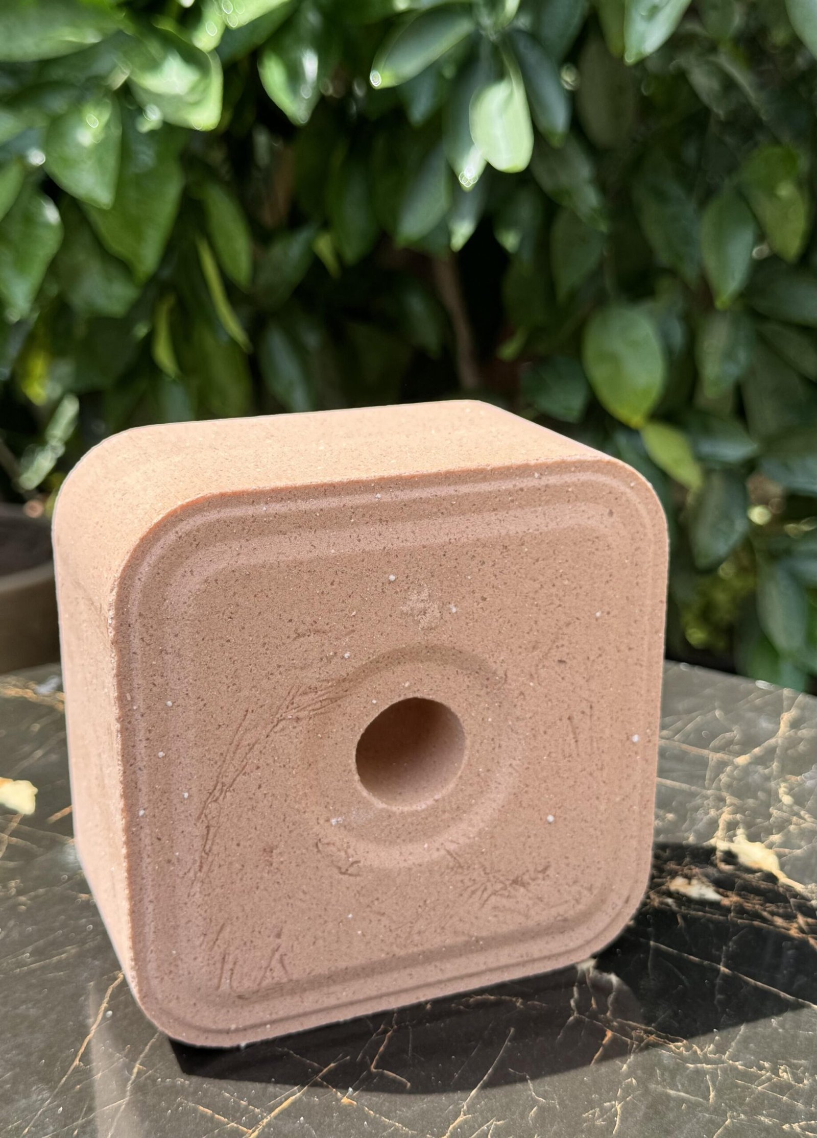Animal Salt Lick Compressed